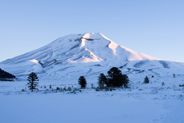 corralco-volcano