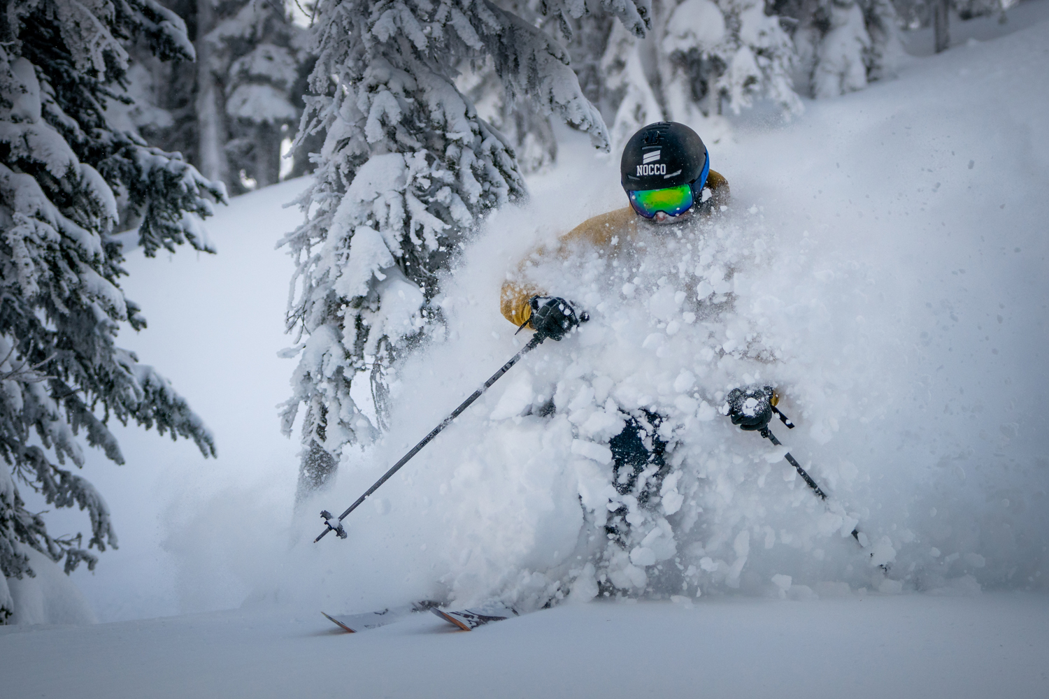 Stellar Heli ski photography