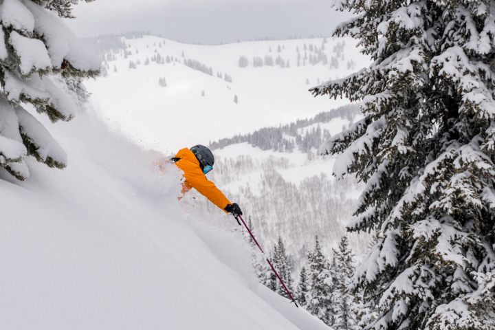 189 Surface Jeff Brown Rossignol 185